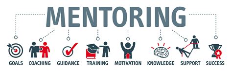 Mentorship And Training Programs